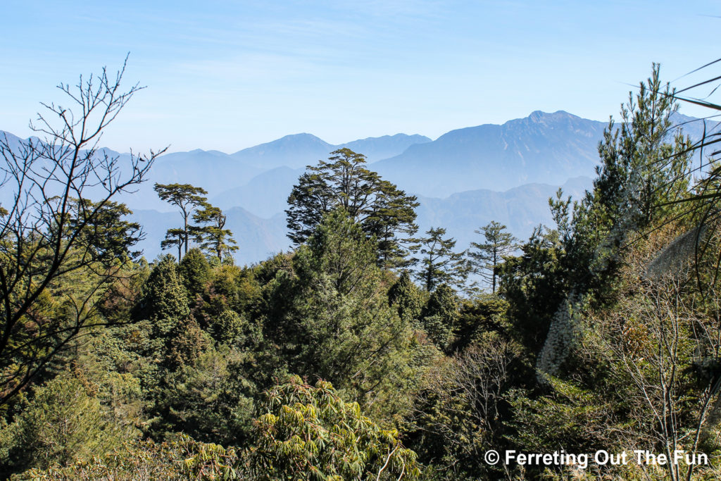 Alishan National Scenic Area