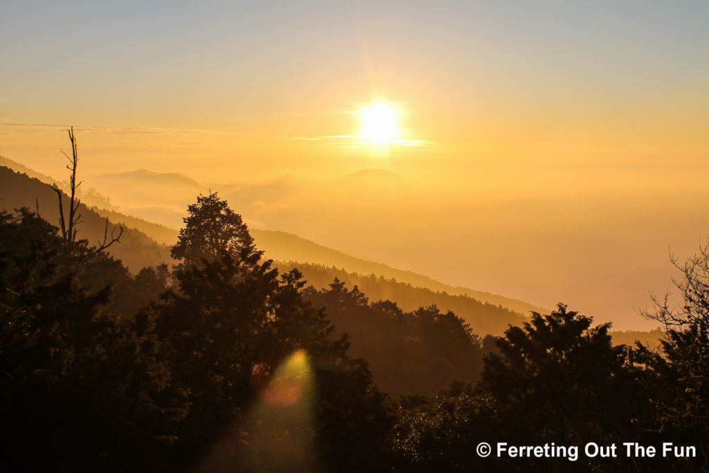 Alishan sunset