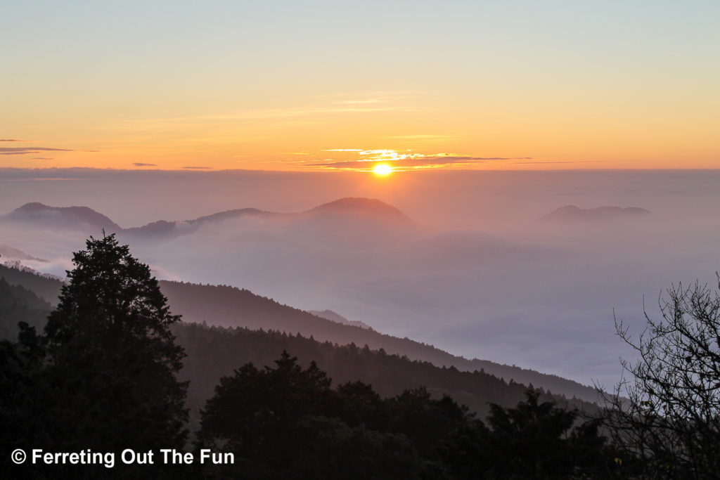 Alishan Sea of Clouds Sunset