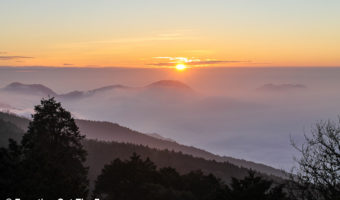 Alishan Sea of Clouds Sunset