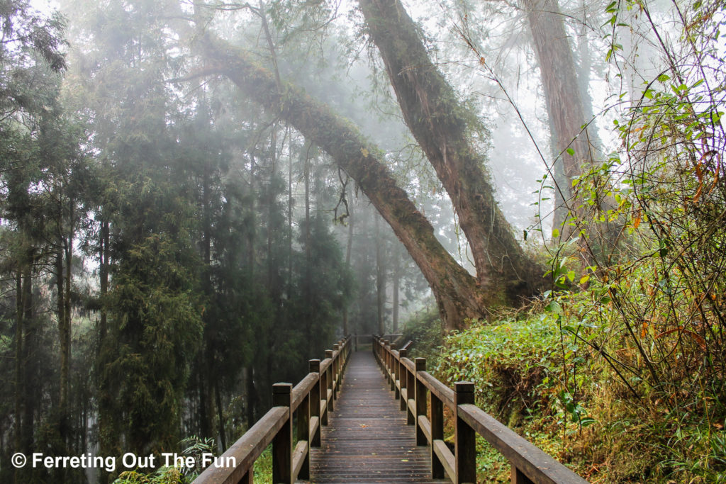 Alishan Forest Recreation Area