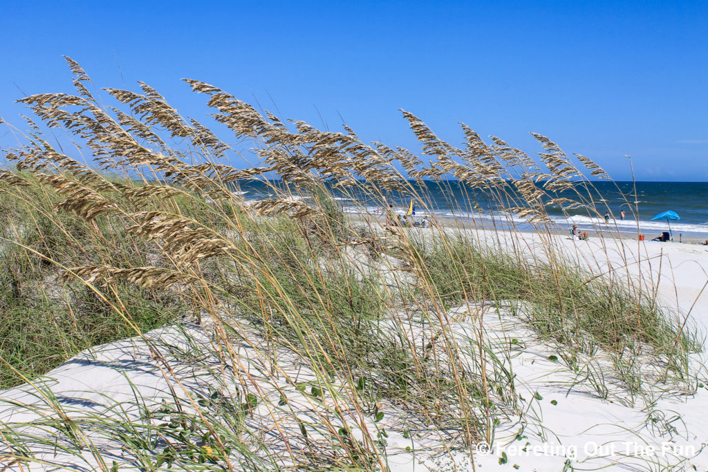 Huntington Beach State Park SC