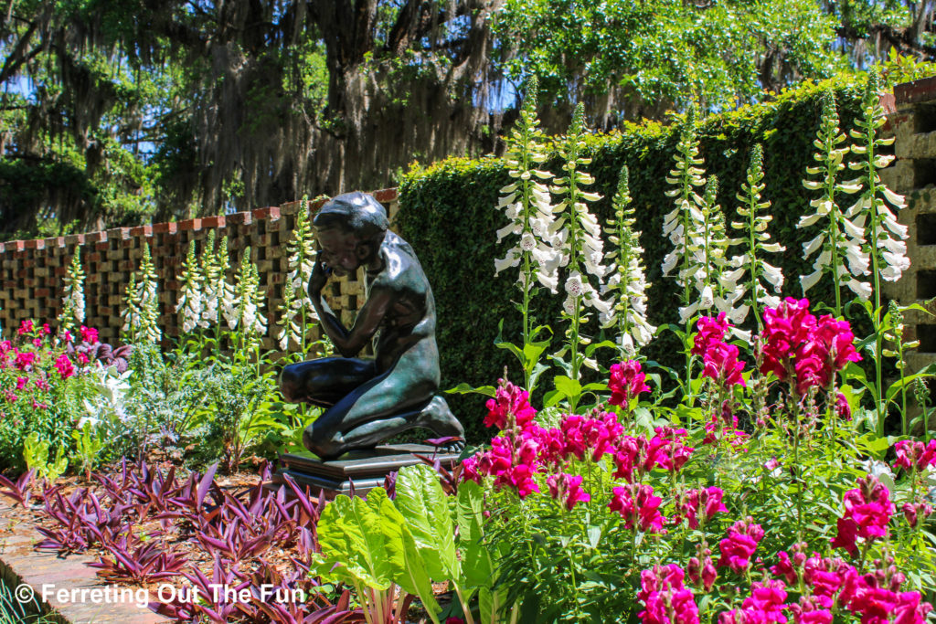 Brookgreen Gardens spring blooms