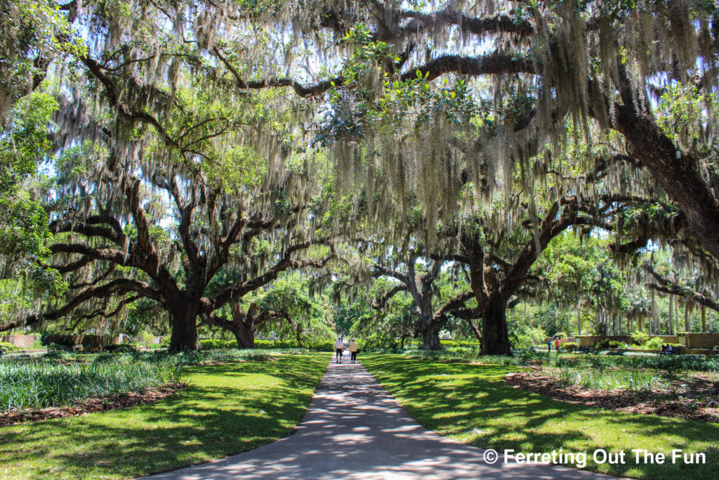 Brookgreen Gardens Avenue of Oaks