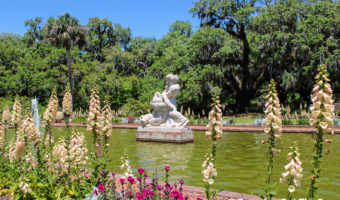 Brookgreen Gardens