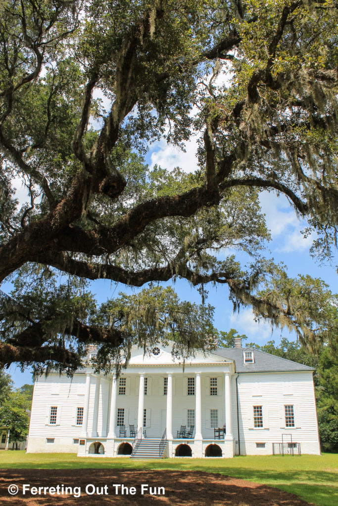 Hampton Plantation house and the Washington Oak in Georgetown, SC