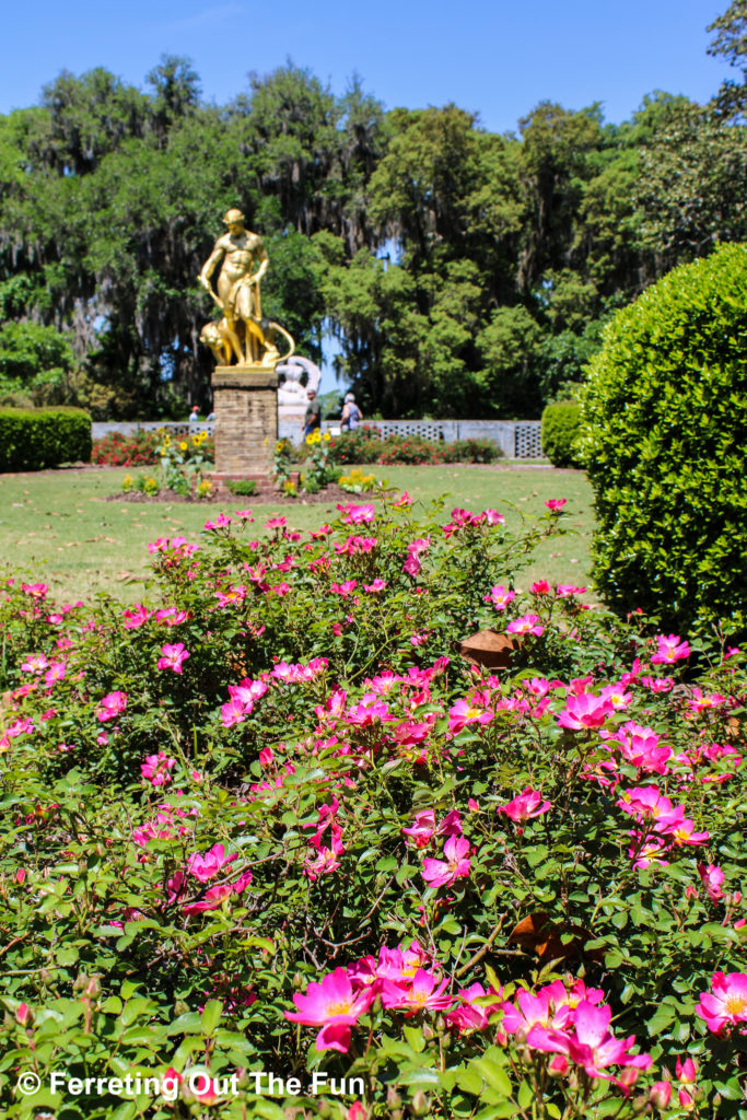 Pretty summer flowers in bloom at Brookgreen Gardens, South Carolina