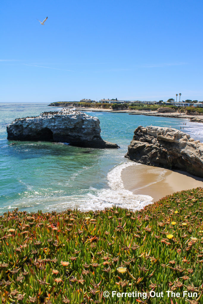 Natural Bridges State Beach in Santa Cruz, California