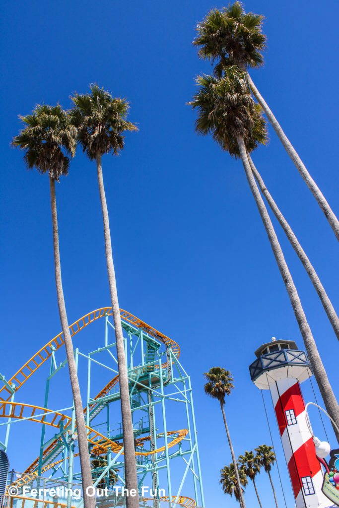 Palm trees and roller coasters on the Santa Cruz Beach Boardwalk in California.