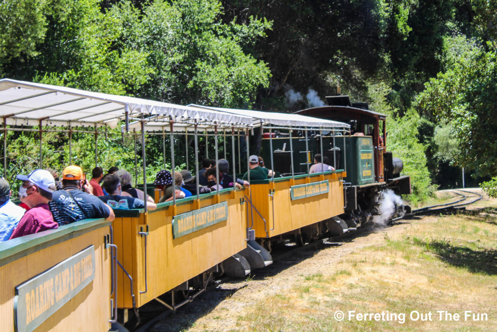 Roaring Camp Railroad train ride