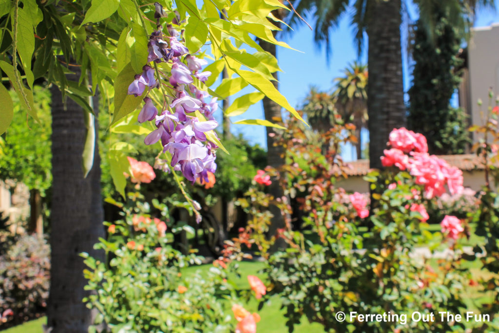 Santa Clara Mission garden