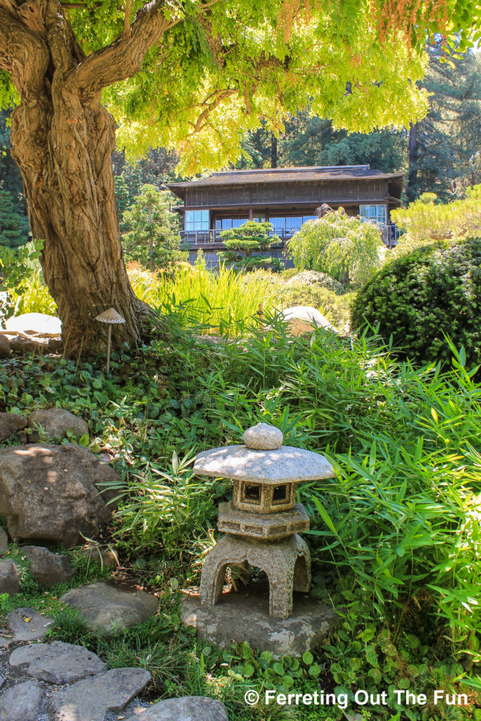 Hakone Estate and Gardens, a traditional Japanese garden tucked in the mountains of San Jose, California
