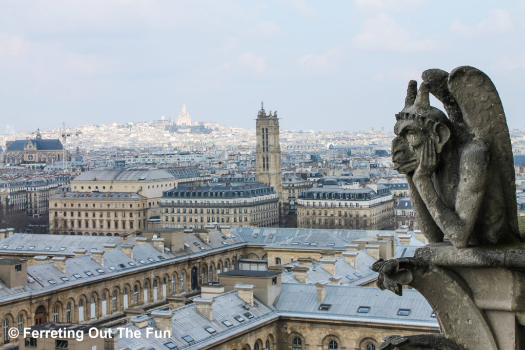 Notre Dame chimera