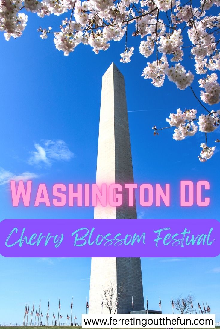 A Guide to the Washington, DC Cherry Blossom Festival - Ferreting Out ...