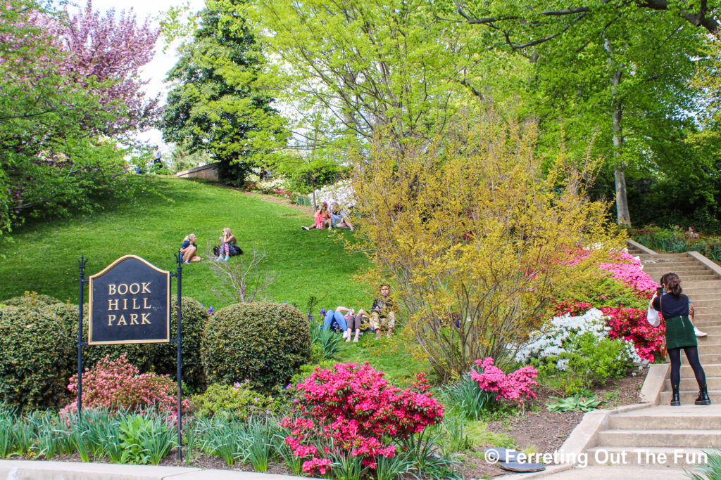 Georgetown Book Hill Park azaleas