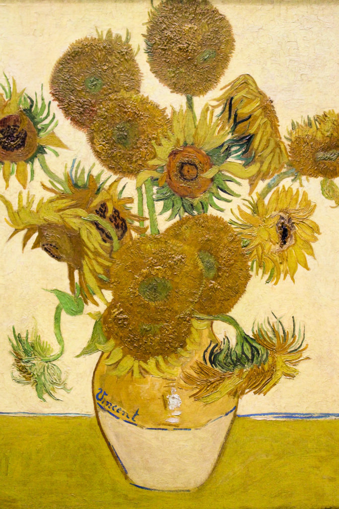 Picasso's Sunflowers on display at the National Gallery London 