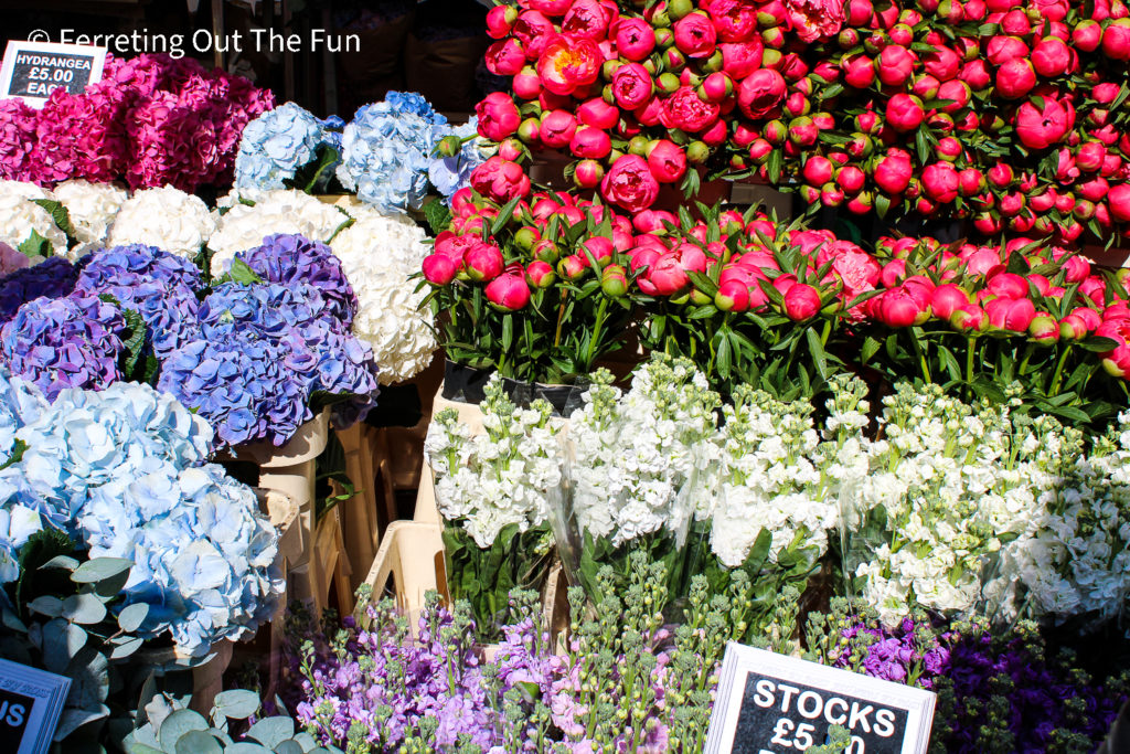 Columbia Road Flower Market