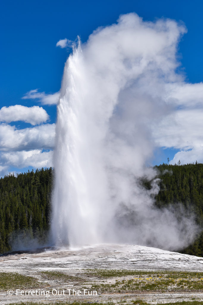 Old Faithful, one of the most predictable geysers in the world. This famous attraction is located in Yellowstone National Park in Wyoming.