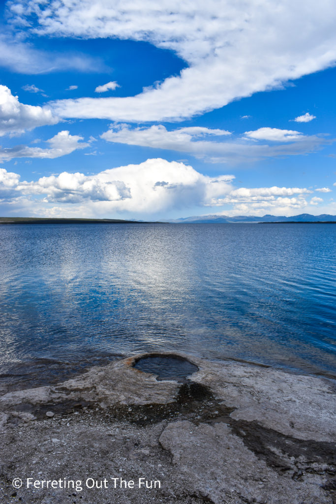 The Fishing Cone geyser on the shore of Lake Yellowstone. The water of this geyser was once so hot it could boil fish caught in the lake!