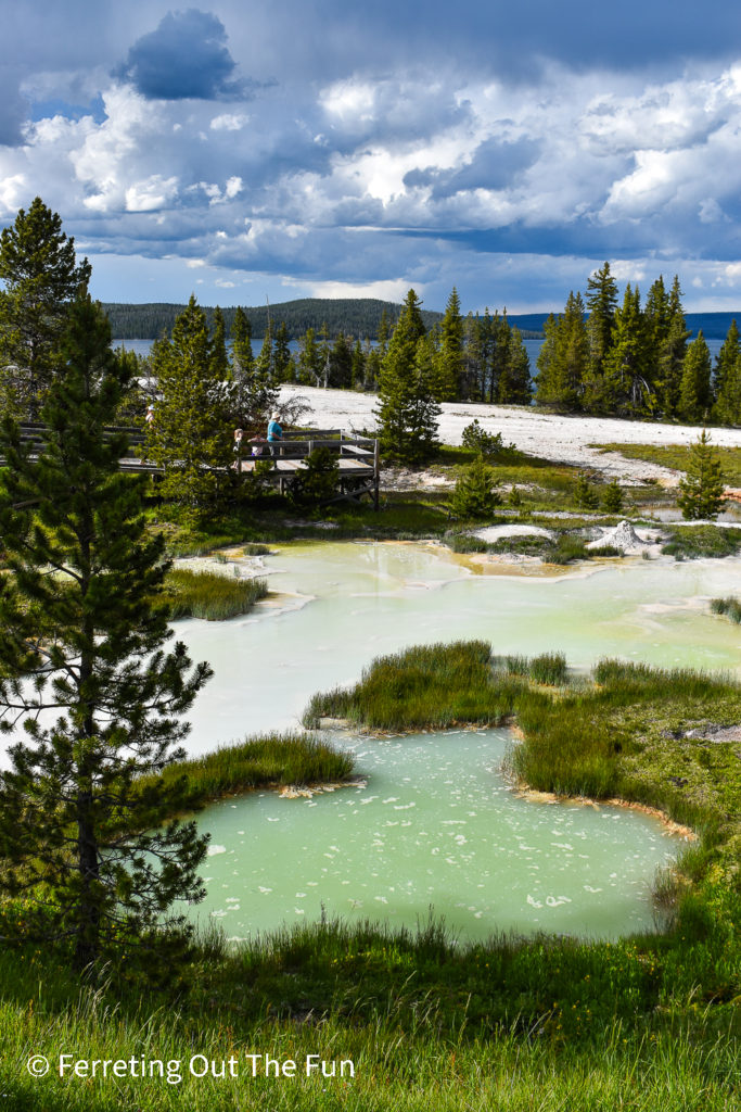 Pastel paintpots along the West Thumb Geyser Basin Trail in Yellowstone National Park