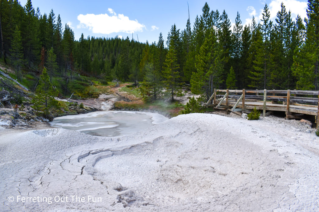 Yellowstone mudpots