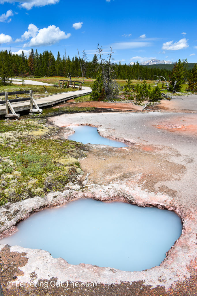 Artist Paintpots, a colorful hydrothermal feature in Yellowstone National Park