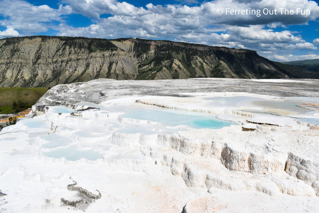 Mammoth Hot Spring terraces