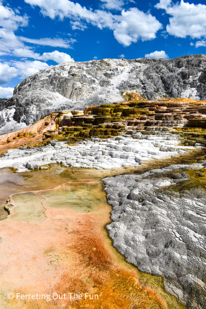 Mammoth Hot Springs, one of the top things to do in Yellowstone