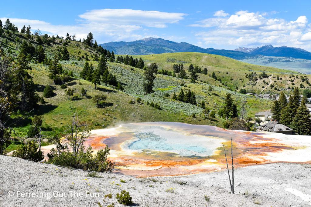 Mammoth Hot Springs Wyoming