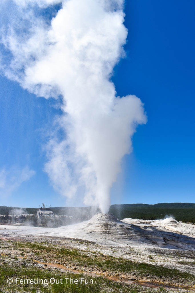 Lion Geyser erupts in Yellowstone National Park