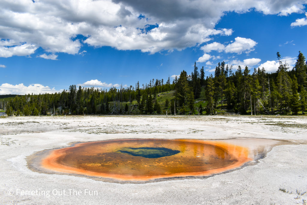 Yellowstone Upper Geyser Basin