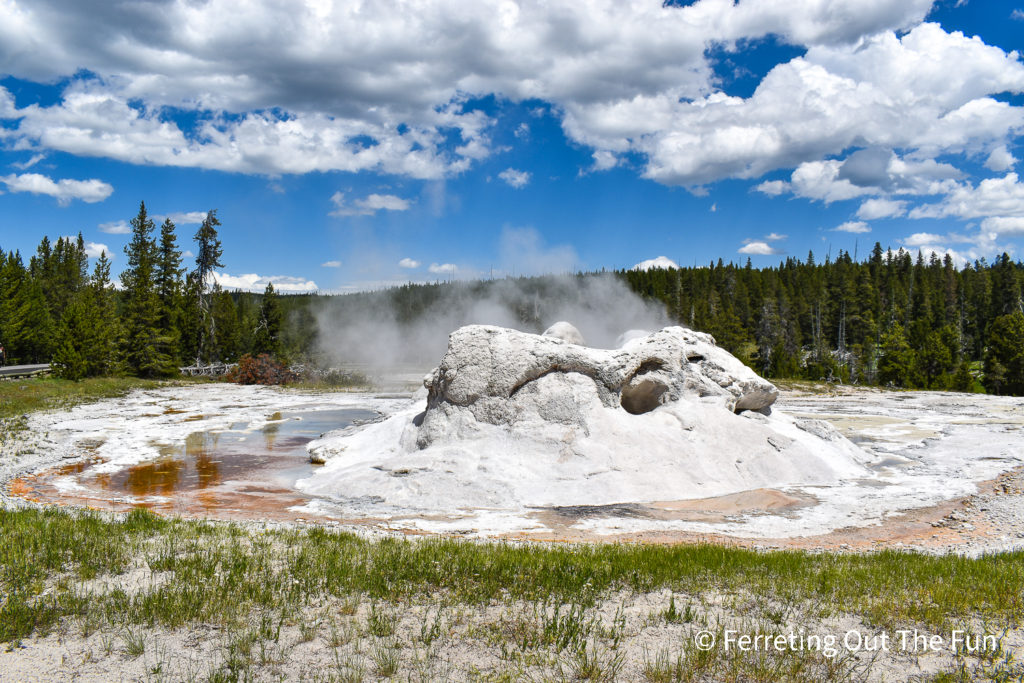 Upper Geyser Basin Trail