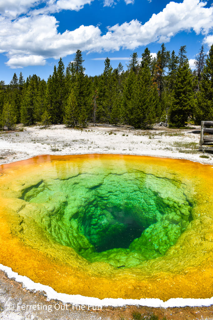 Morning Glory Pool, one of the most colorful hot springs in Yellowstone National Park.