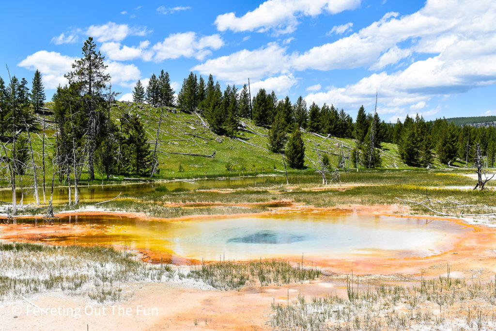 Upper Geyser Basin Trail