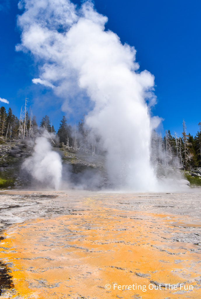 Grand Geyser, a must see attraction during your 3 days in Yellowstone