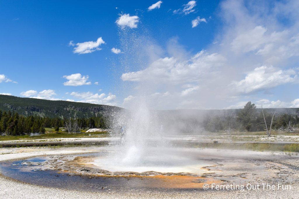 Upper Geyser Basin Trail