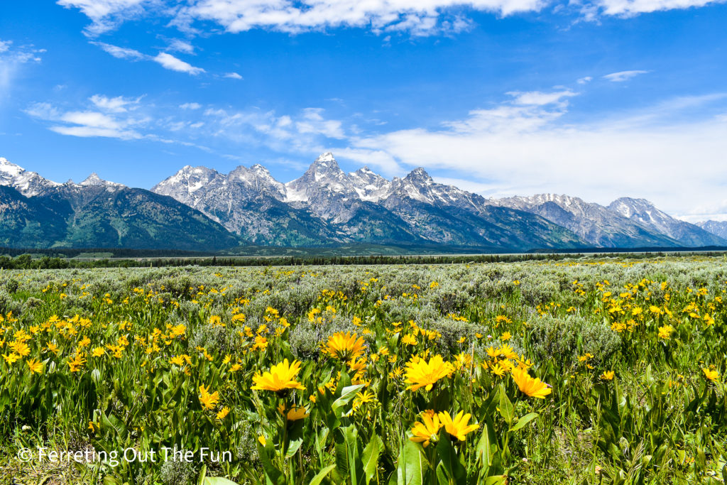 Grand Teton National Park