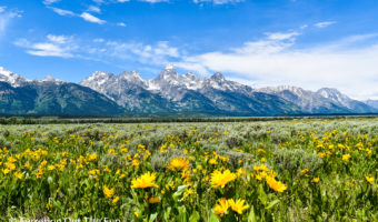 Grand Teton National Park