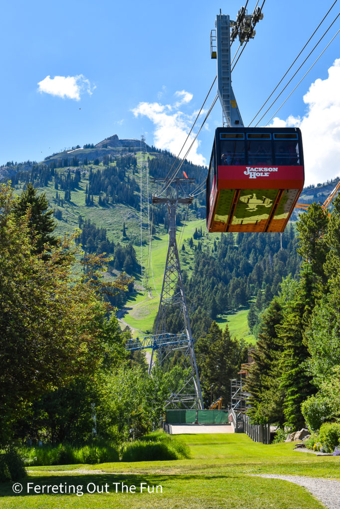 Jackson Hole Aerial Tram is one of the top things to do near Grand Teton National Park