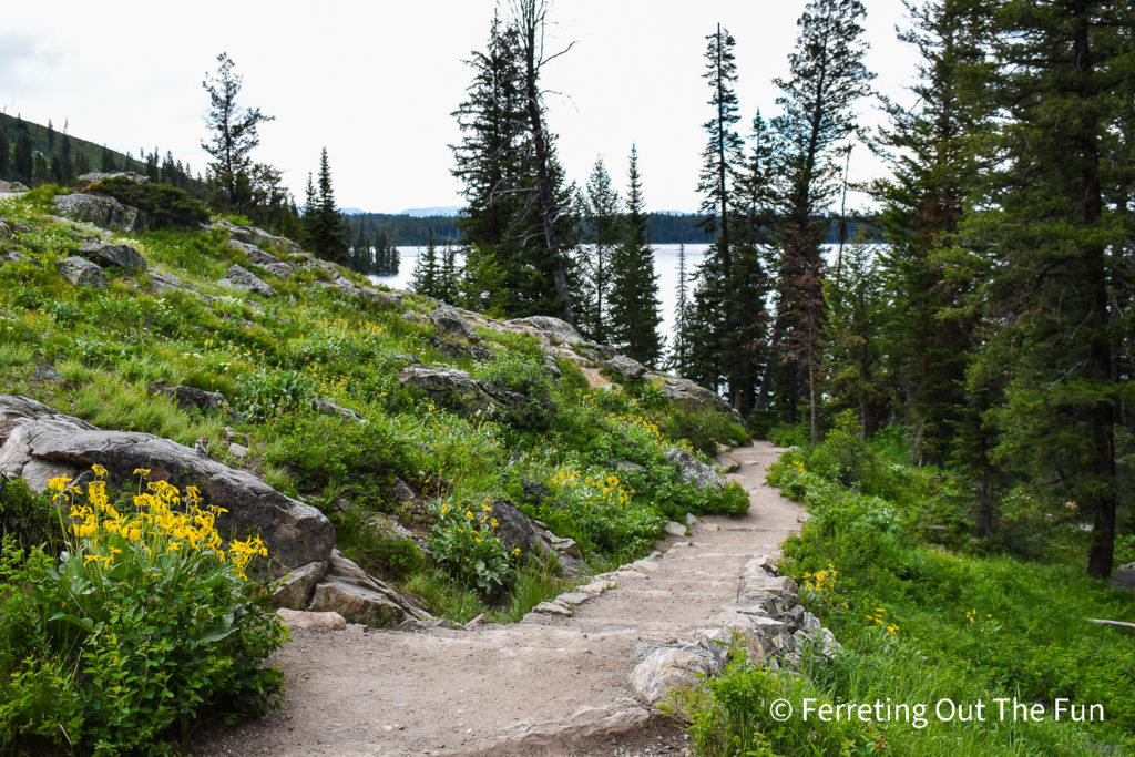 Jenny Lake Hiking Trail