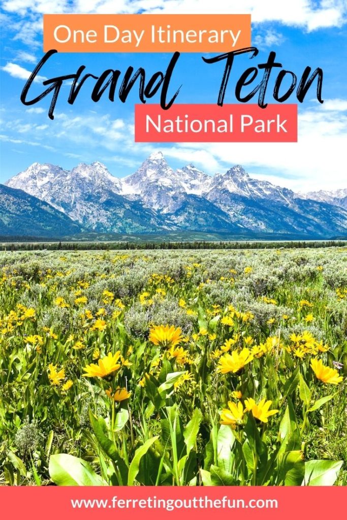 The perfect itinerary for one day in Grand Teton National Park.
