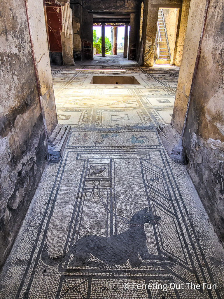 The famous Pompeii Beware of Dog mosaic in the House of the Tragic Poet