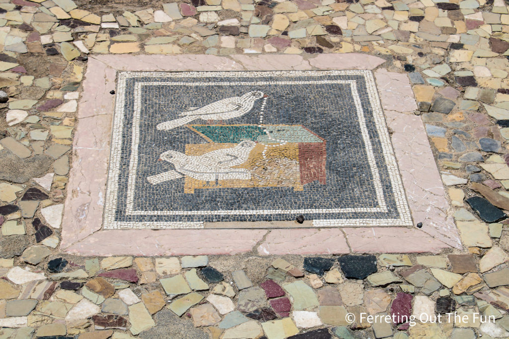 Pompeii white dove mosaic