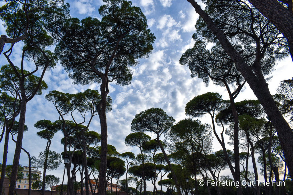 Villa Borghese Park Rome