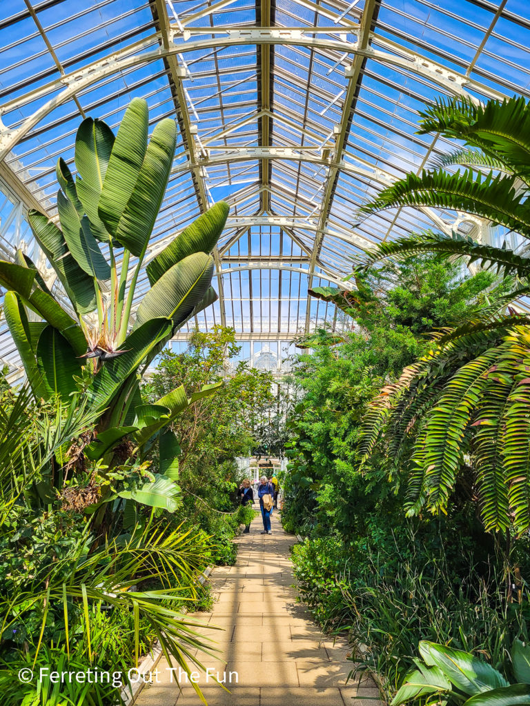 Palm House, a large Victorian glasshouse with an entire rainforest inside. Kew Gardens, London