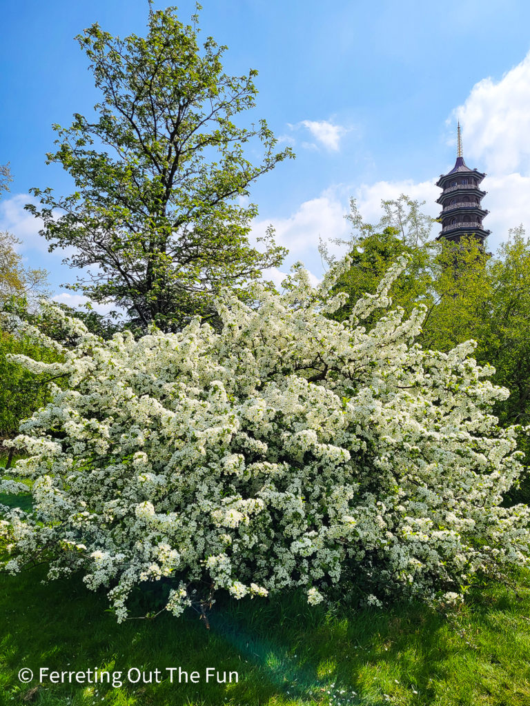 Great Pagoda, Kew Gardens