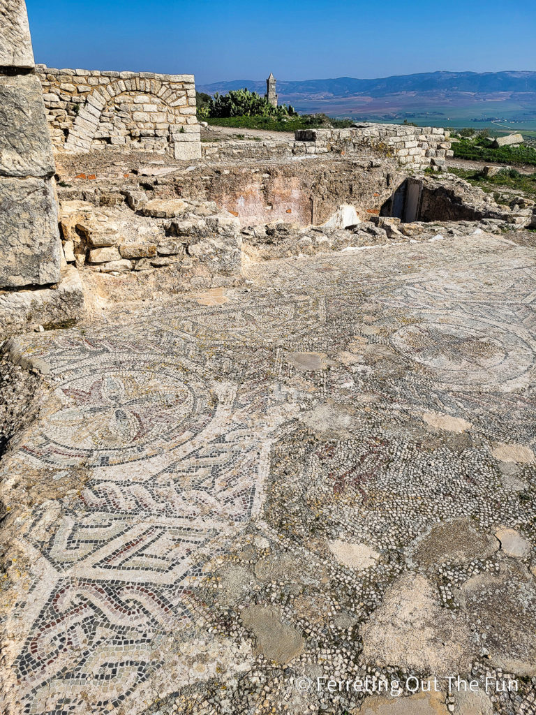 Mosaics in Dougga Tunisia, an ancient Roman town in North Africa
