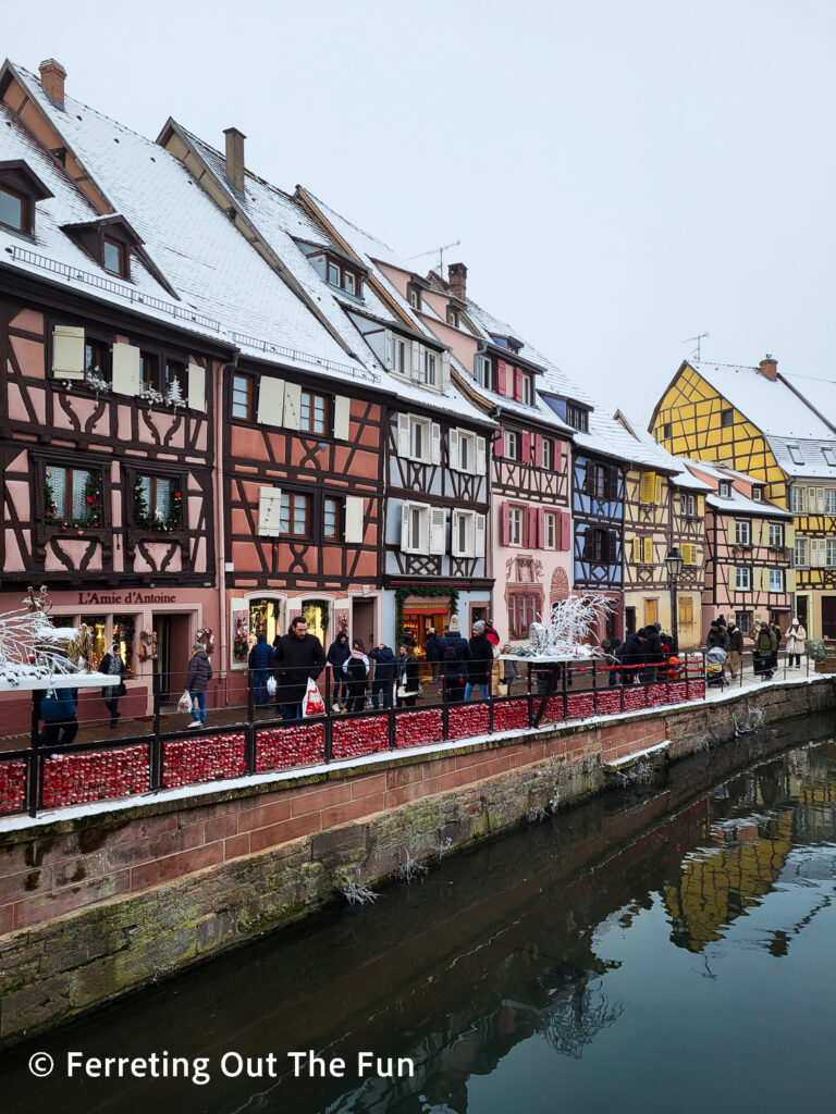 Colorful half-timbered houses line a canal in the beautiful Alsatian village of Colmar, France 
