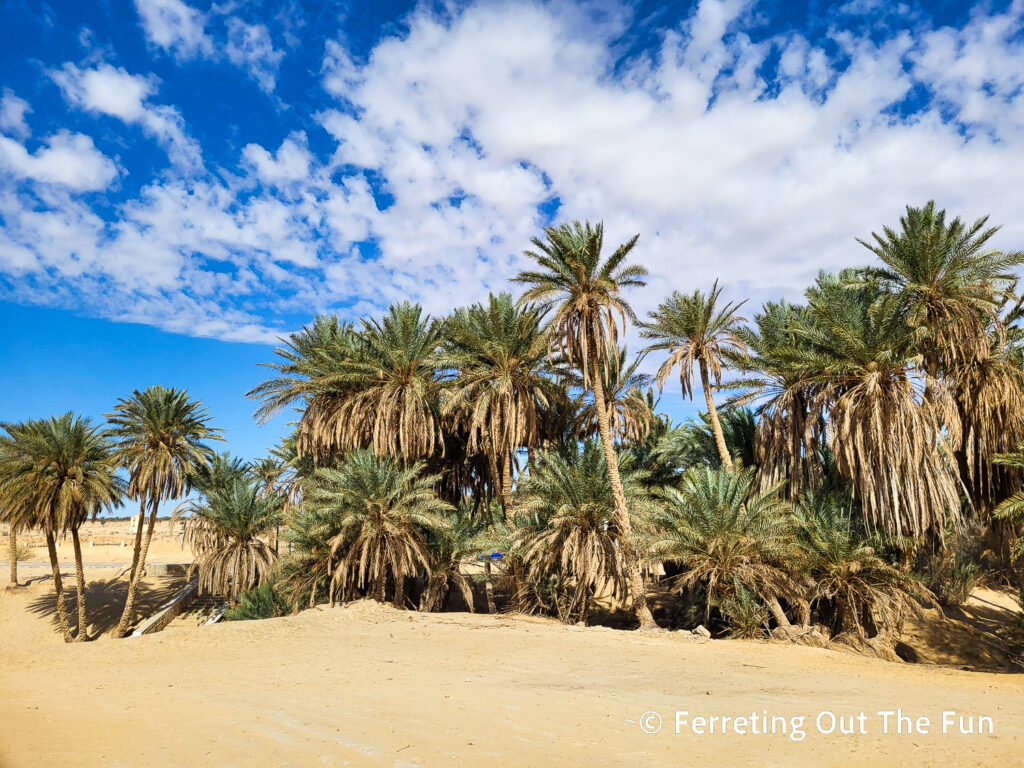 Tozeur Tunisia