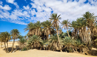 Tozeur Tunisia